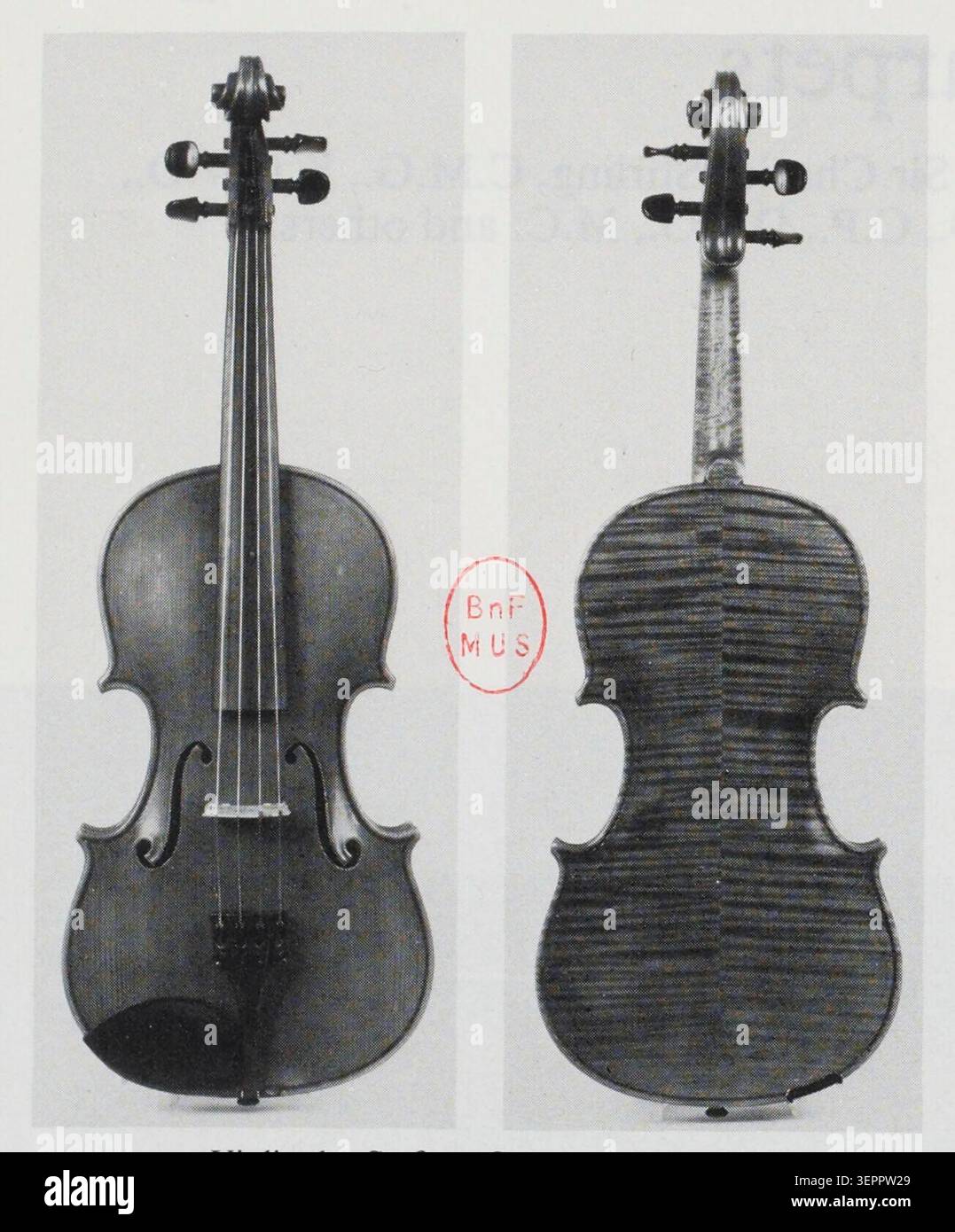 Bowed stringed instruments hi-res stock photography and images