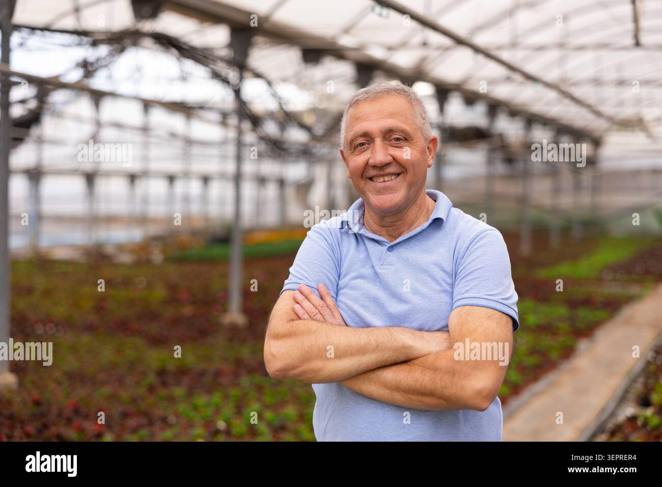 Old man worker posing joyfully in greenhouse Stock Photo