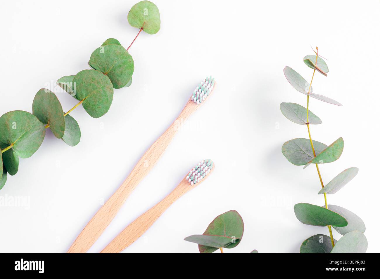 Eco friendly bamboo toothbrushes with eucalyptus branches on white background. Sustainable oral care concept with natural materials and minimal design Stock Photo