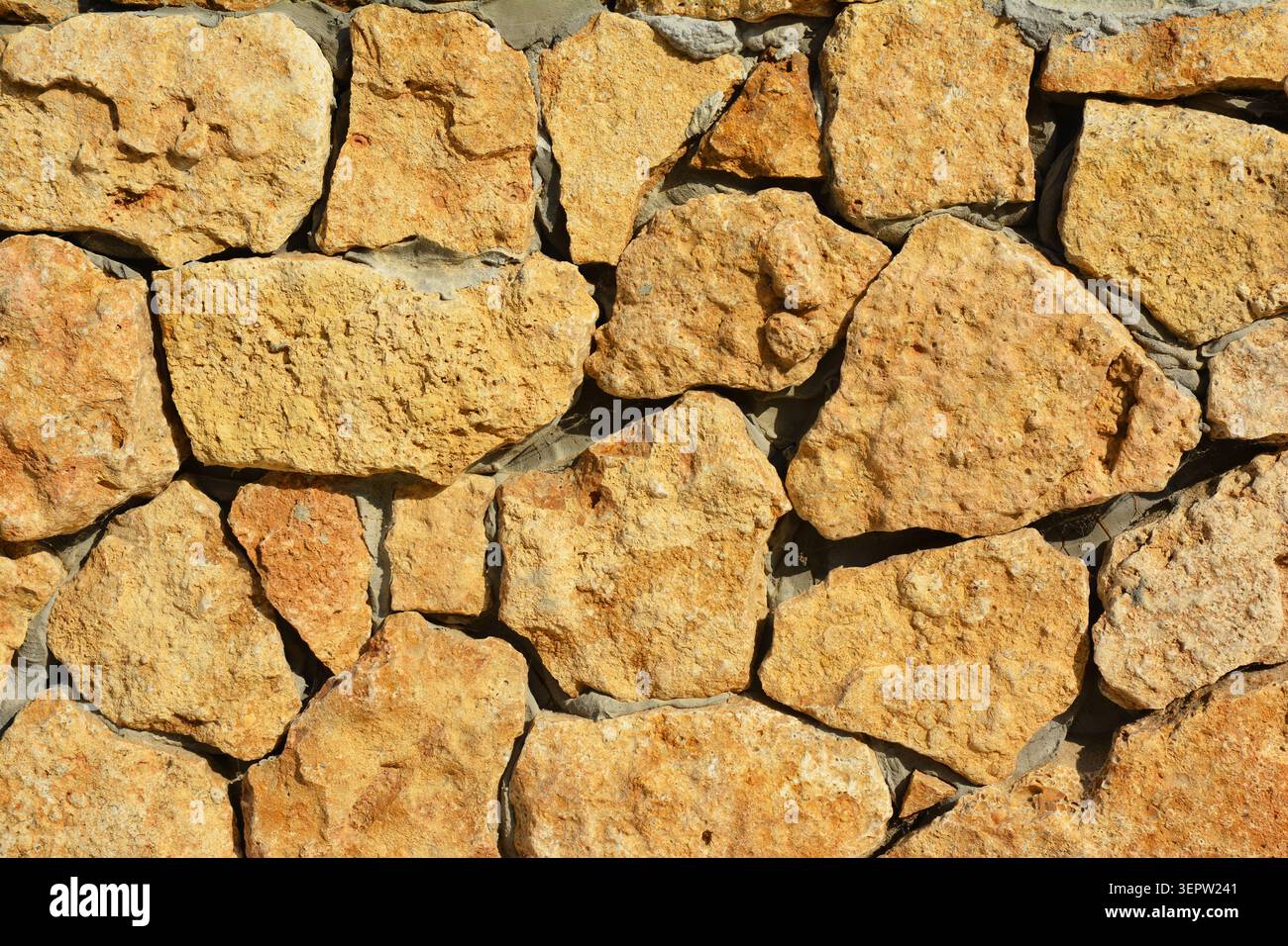 Wild shell limestone stone textured wall.  Natural textured background Stock Photo