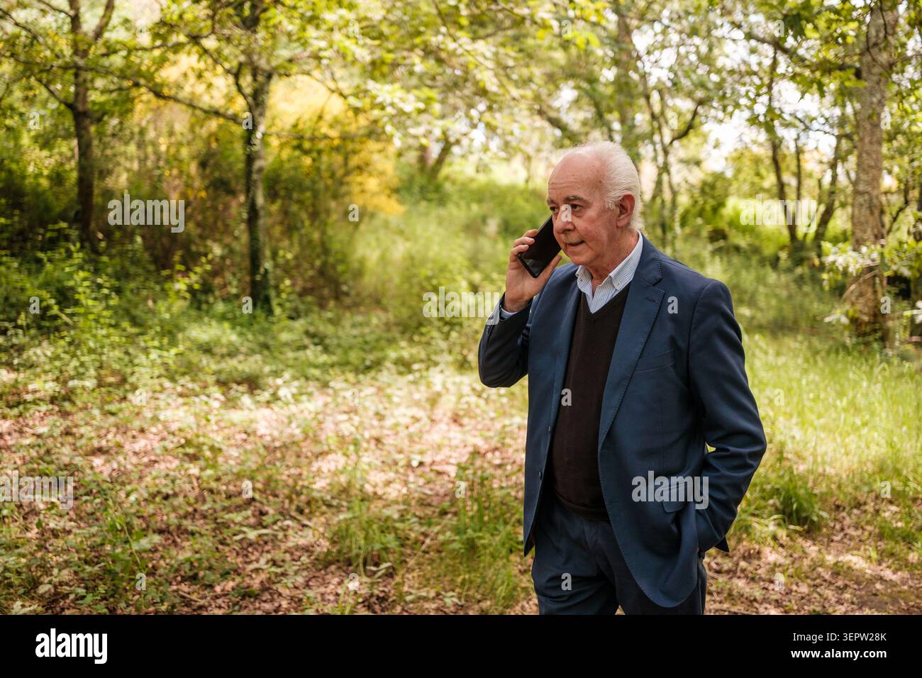 Senior businessman walking through a forest while having a phone conversation Stock Photo