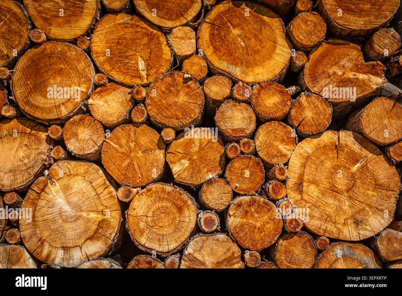 These cut tree trunks were stacked along a mountain road above Saas Fee Stock Photo