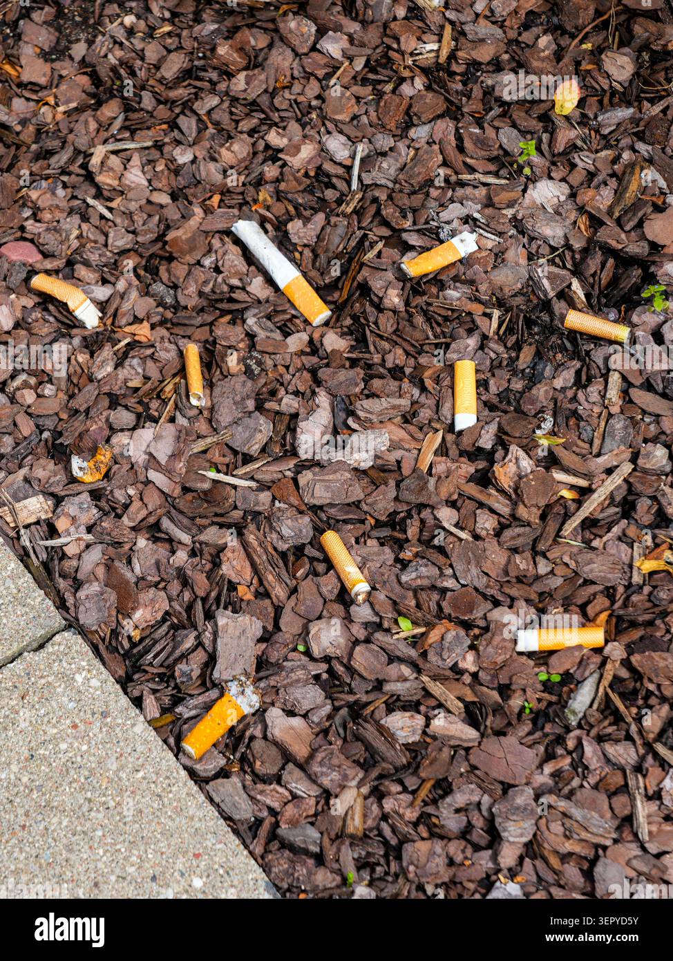 smoke the cigarette What is Nicotine?