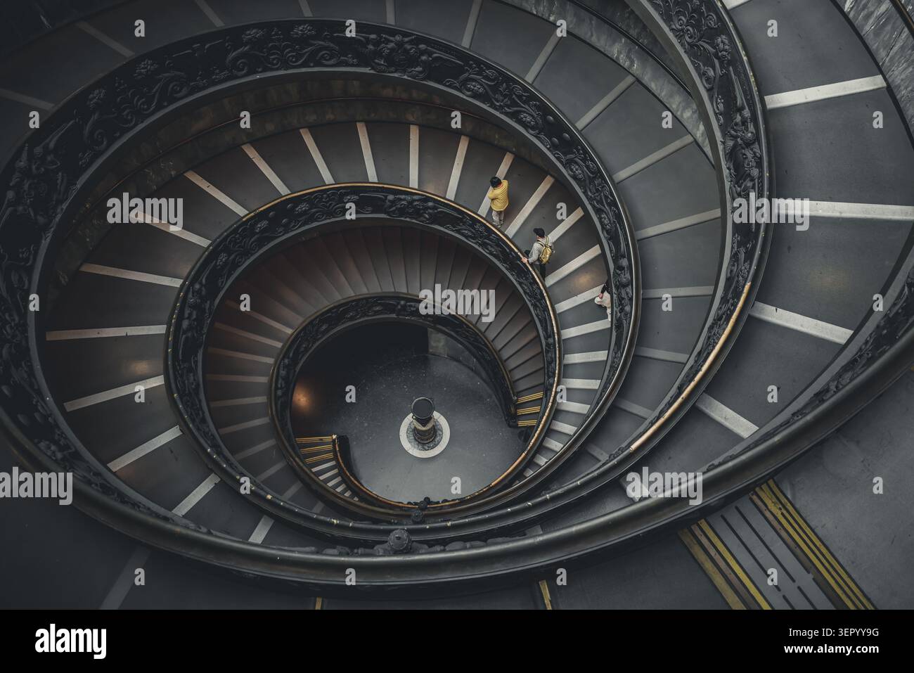 Spiral of Time – Visitors Descending the Vatican Staircase Stock Photo