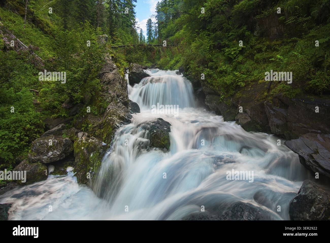 Waterfall in green forest, long exposure Stock Photo