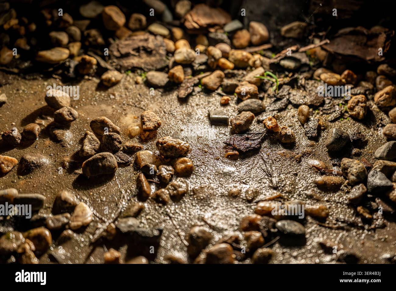 Wet Pebbles and Muddy Ground Texture Stock Photo