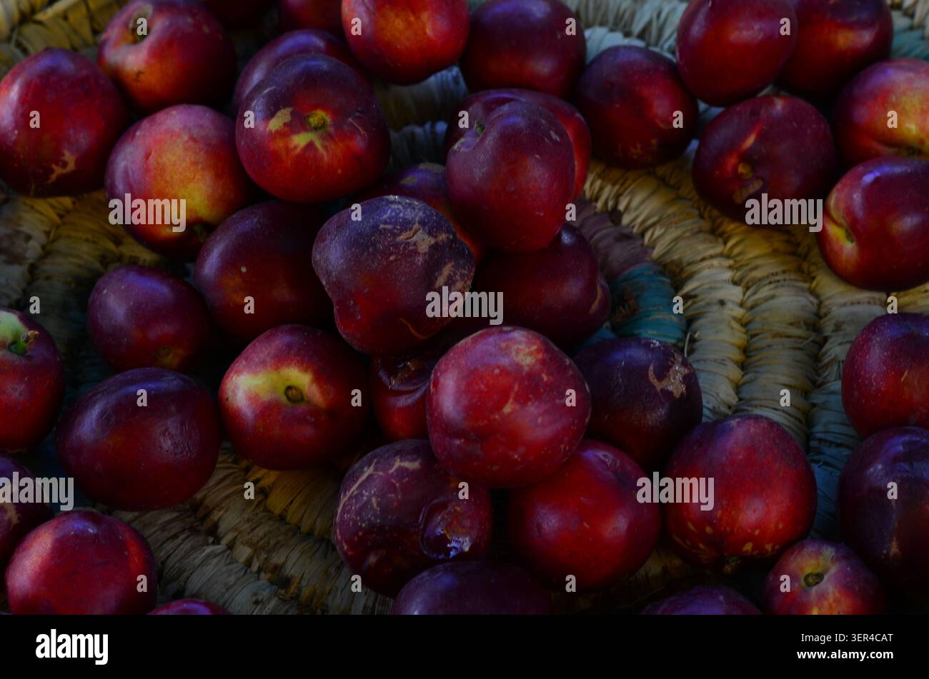 Ripe Red Nectarines in a Rustic Basket Stock Photo