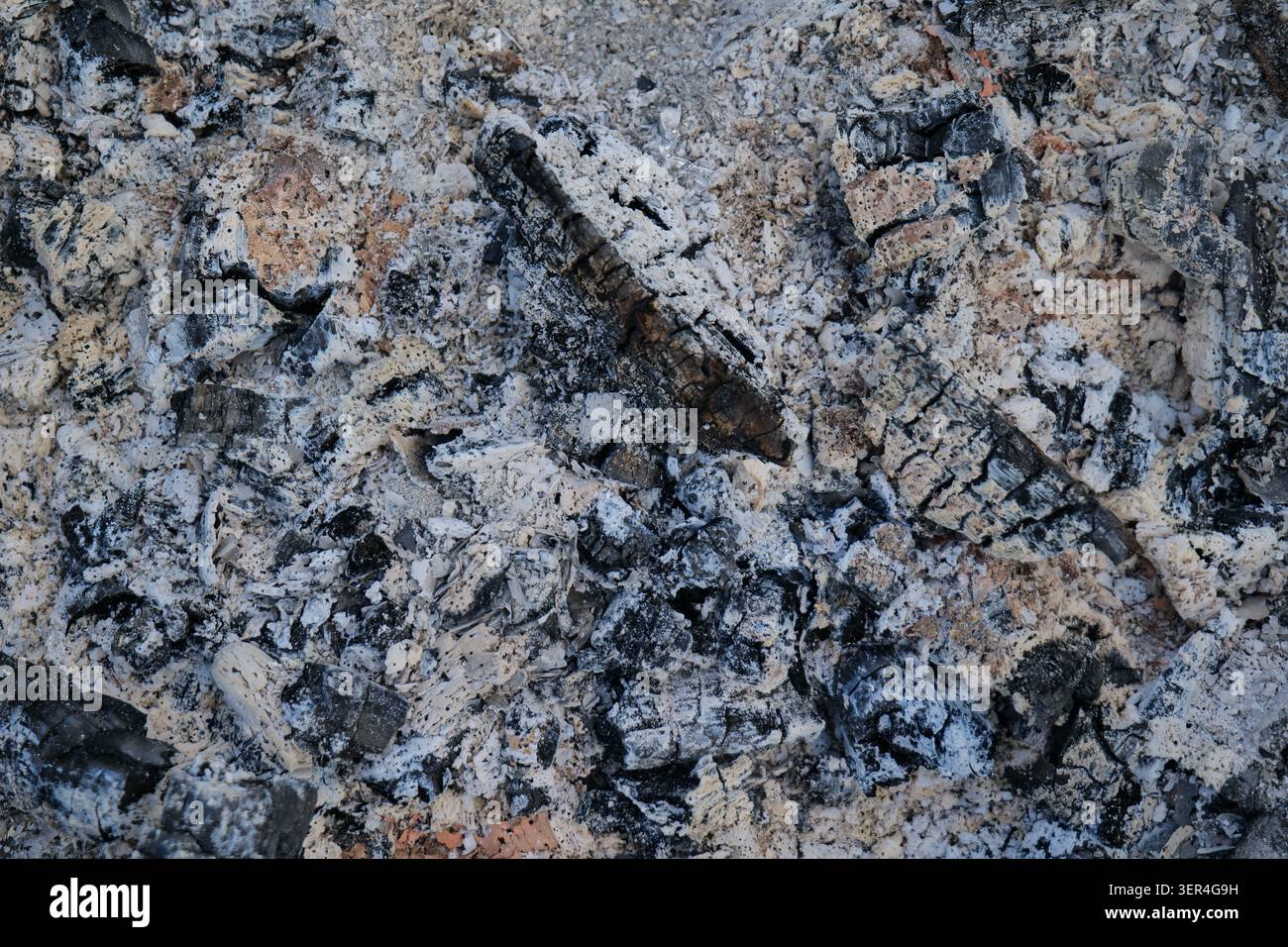 Ash and burnt charcoal after a fire Stock Photo
