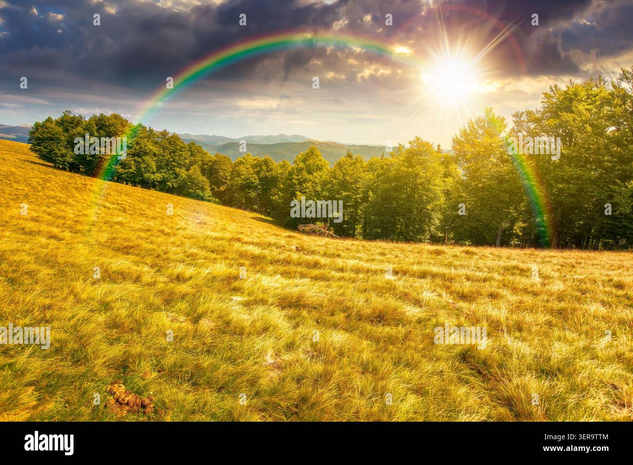 sunset over carpathian mountain field. view of countryside summertime landscape with valley behind the forest on the hill. clouds on a sky. travel bac Stock Photo