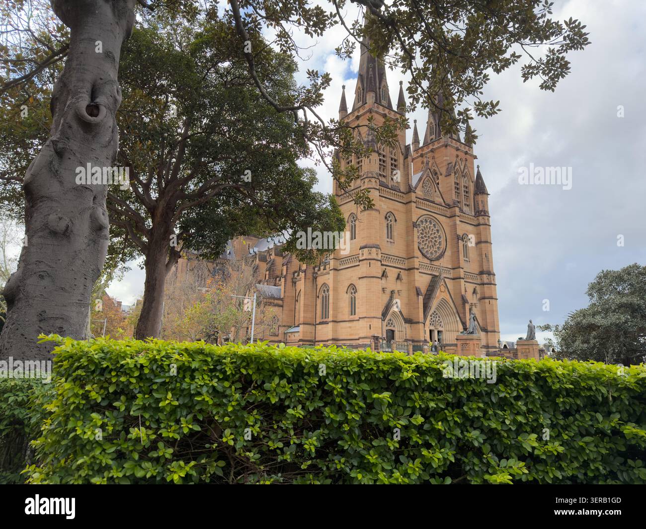 St Mary's Cathedral in Sydney seen across a green hedge and tree, with its Gothic spires rising against a blue sky. - Smartphone Captured Stock Image
