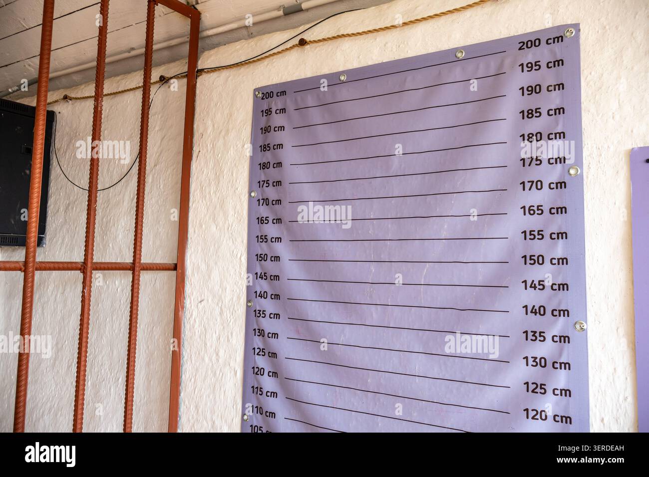 An indoor shot of a traditional police lineup or mugshot background wall, featuring a purple metric scale chart indicating height measurements in cent Stock Photo