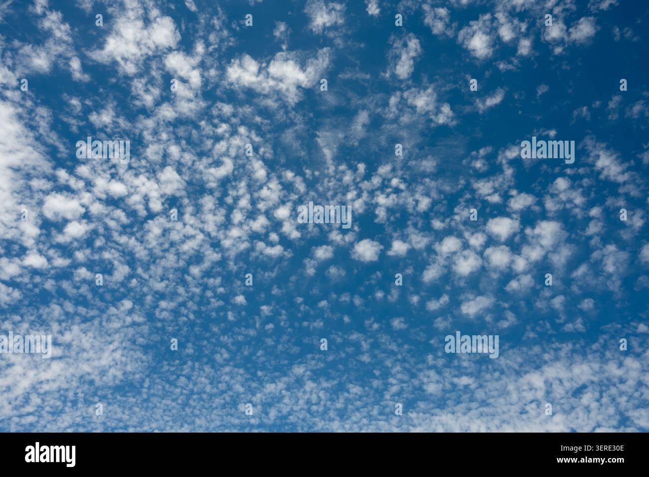 Cirrocumulus clouds, Warwickshire, UK Stock Photo