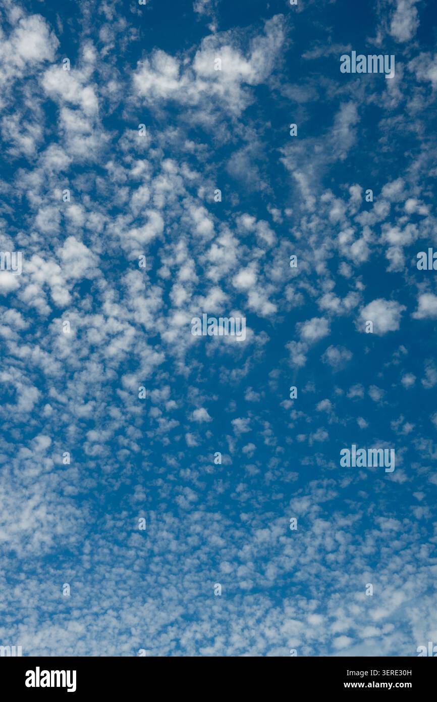 Cirrocumulus clouds, Warwickshire, UK Stock Photo