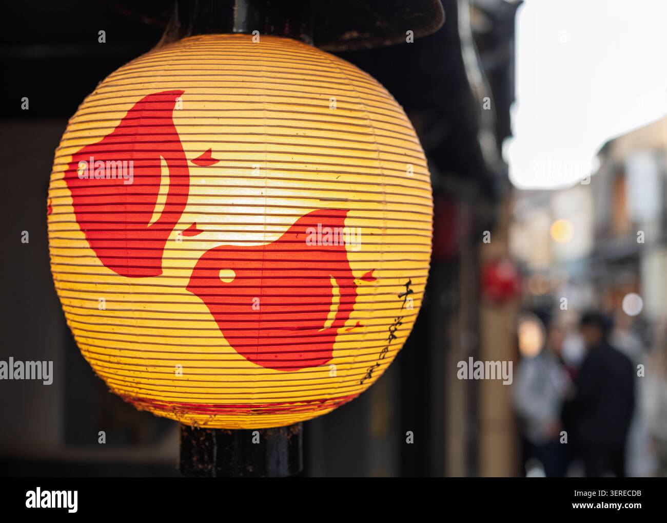 Chidori birds hi-res stock photography and images - Alamy