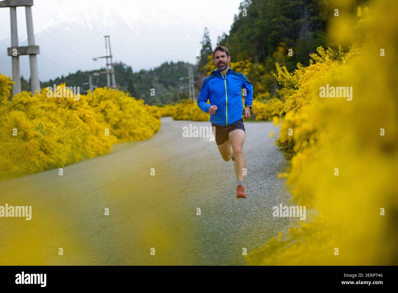 Man running on a rural road surrounded by yellow flowers Stock Photo