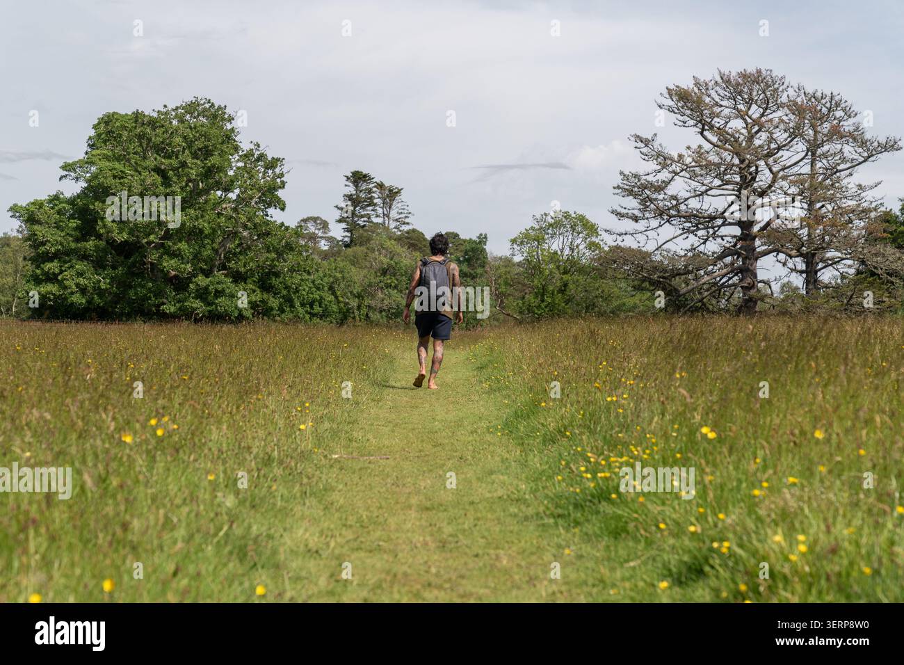 Man hiking barefoot on nature path through meadow Stock Photo