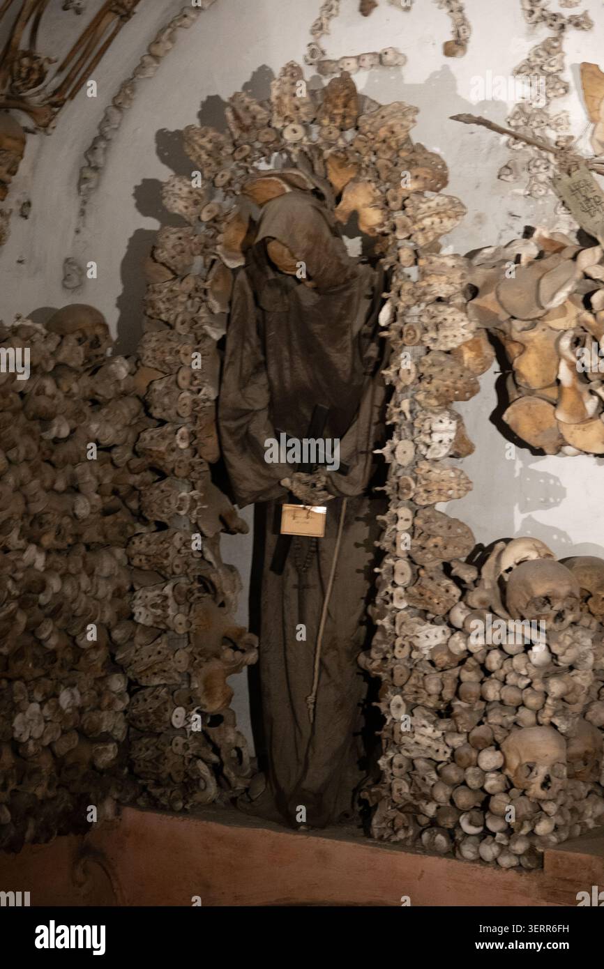 A skeletal Capuchin monk dressed in traditional hooded robes standing ...