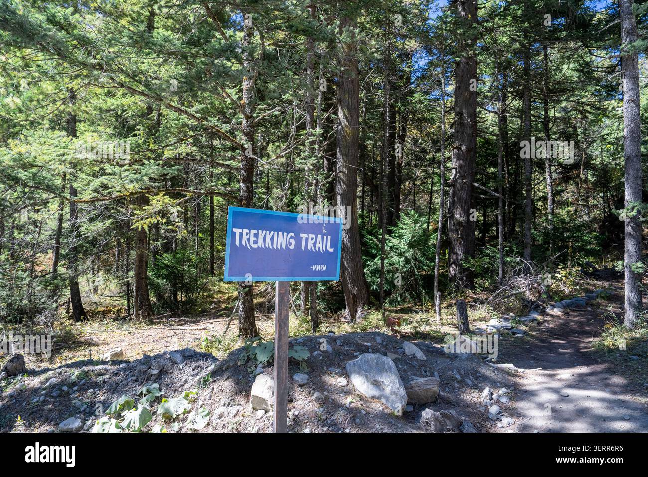 Trekking trail sign beside a forest path on the Annapurna Circuit in the Nepal Himalayas. Stock Photo