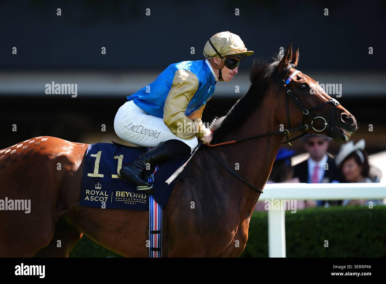 Opportunity ridden by James McDonald goes to post ahead of the Duke Of ...