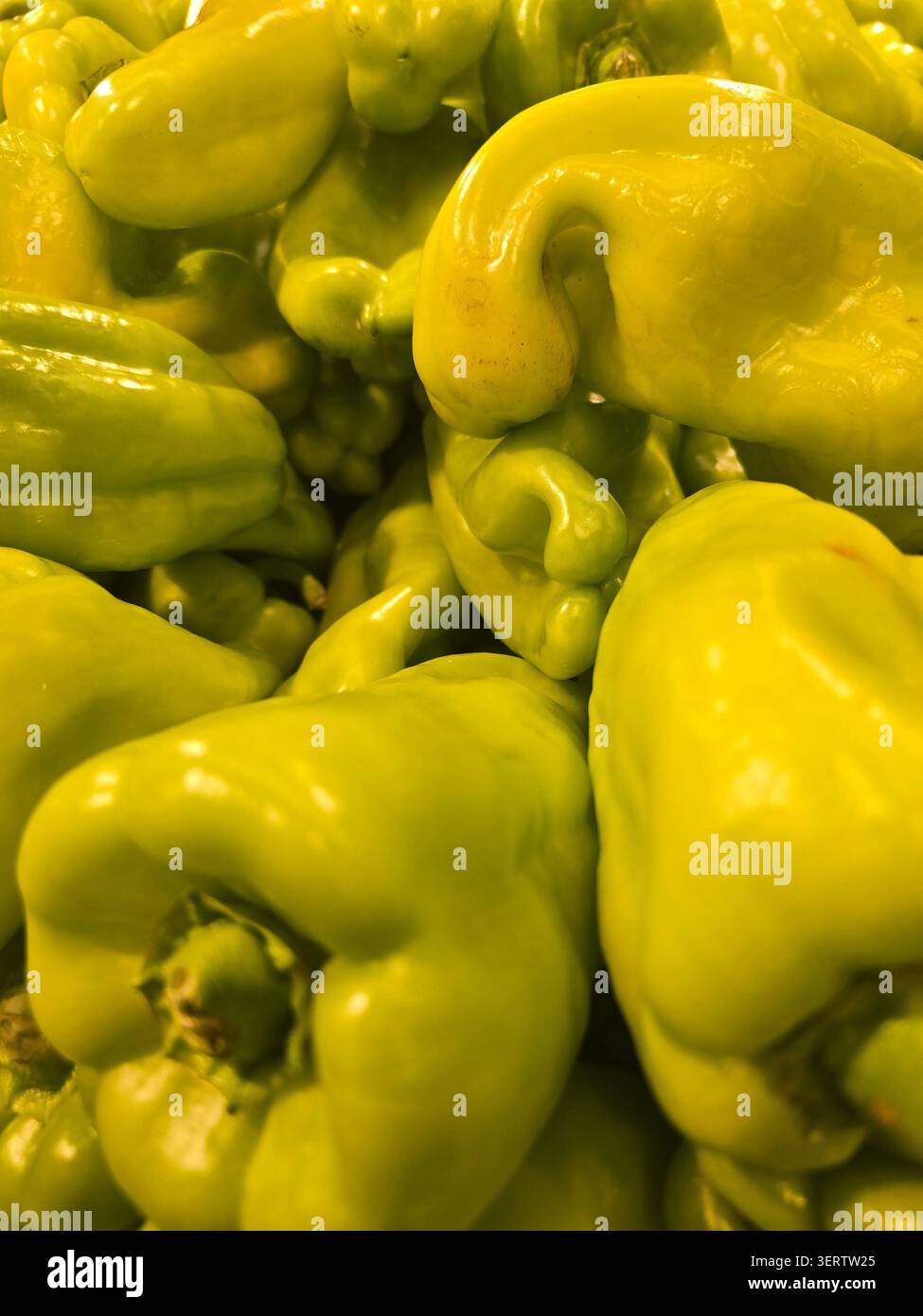 Vegetables - Smartphone Captured Stock Image
