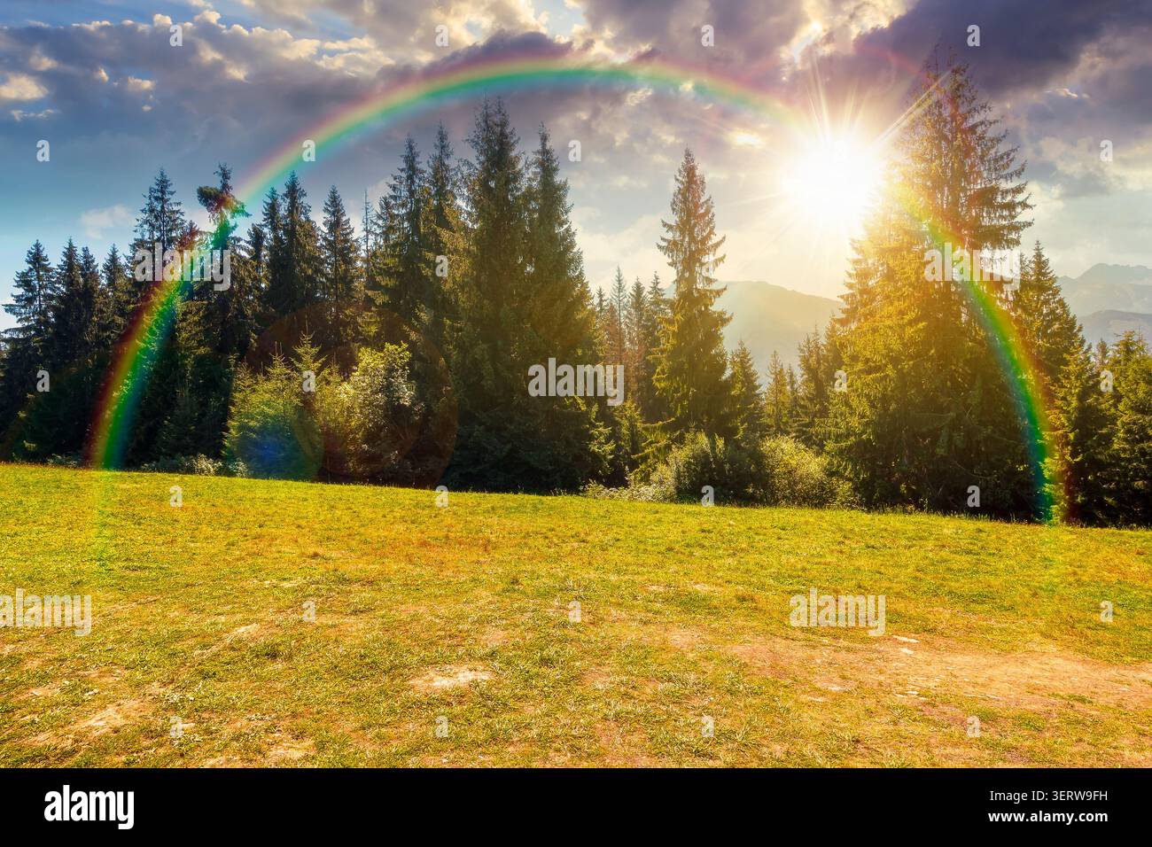 sunset over landscape with coniferous forest in summer. scenic view of mountain landscape in poland. spruce trees on a grassy alpine meadow. cloudy sk Stock Photo