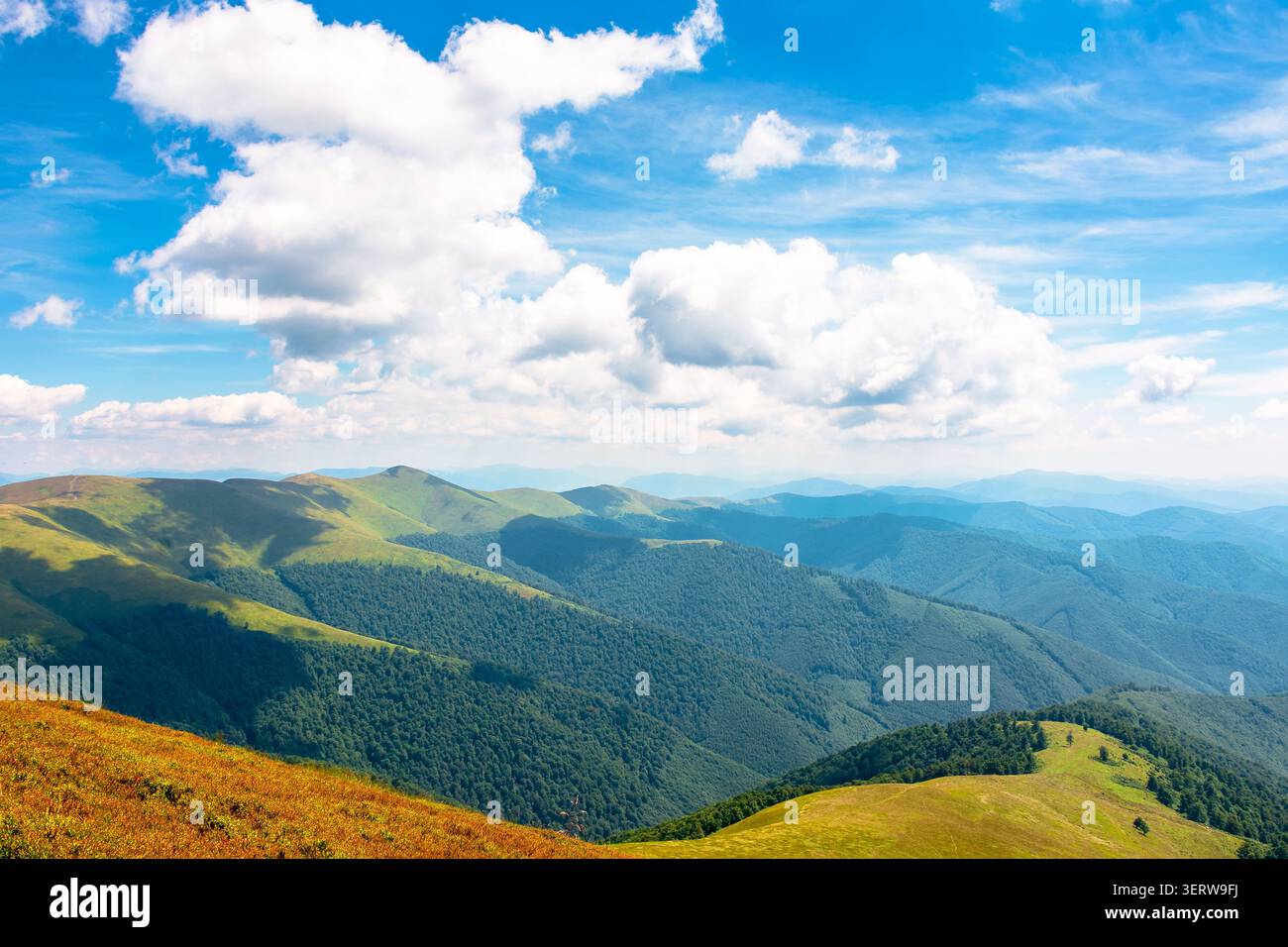 beautiful mountain landscape in summer. travel ukraine background. rolling hill in dappled light. scenic view of borzhava ridge. carpathian mountain s Stock Photo