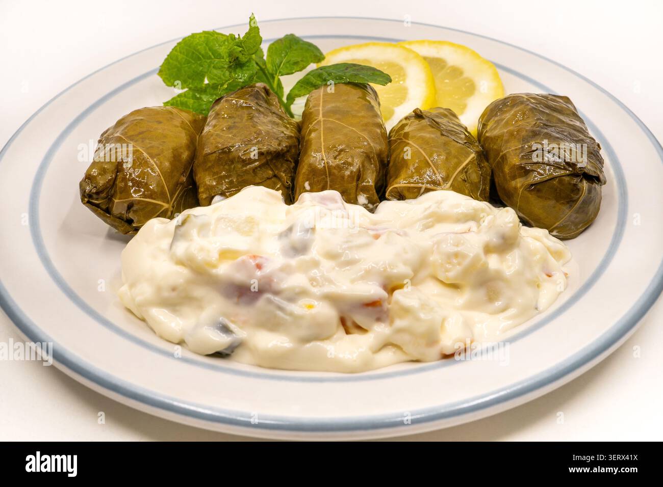 Stuffed Vine Leaves (Greek Dolmades). Stock Photo