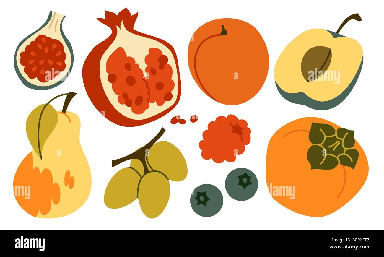 Autumn Fruit Vector Set Flat Geometric Pomegranate Fig Persimmon Collection Stock Vector