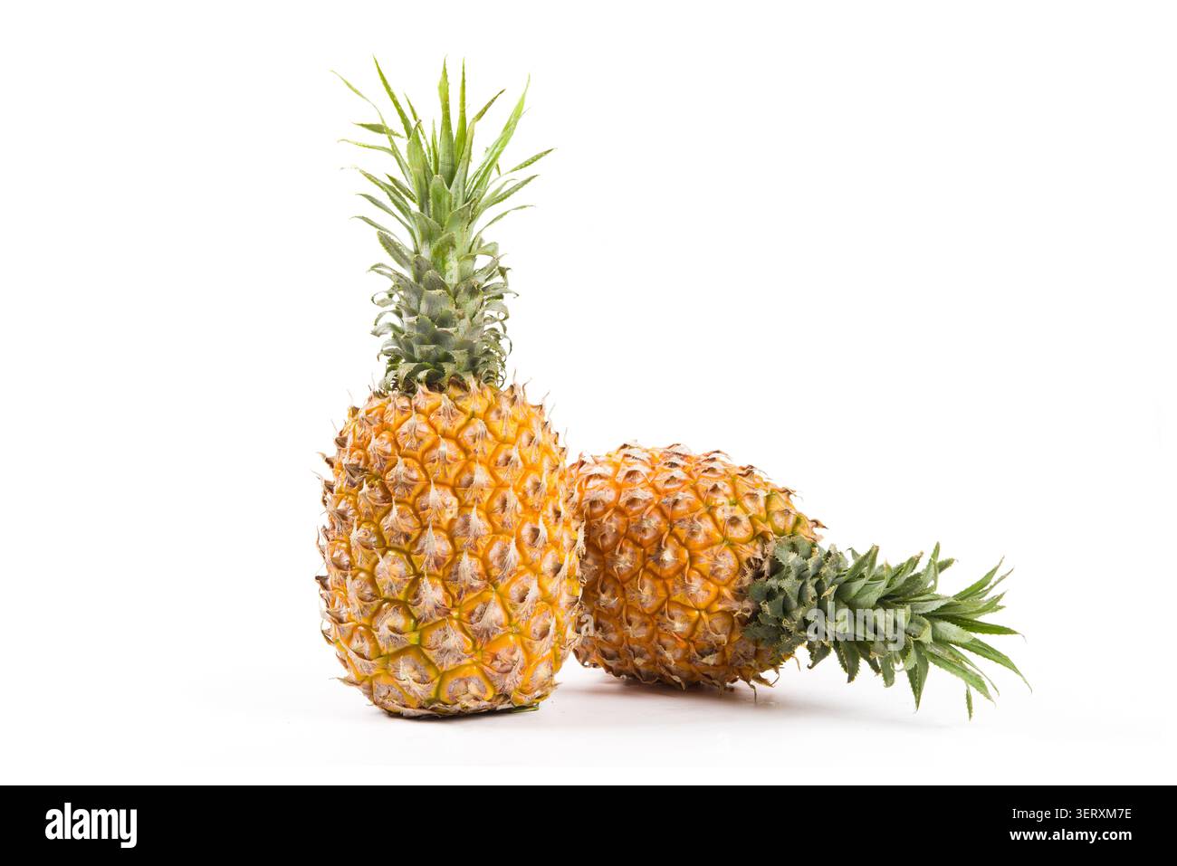 Two ripe pineapples with green crowns on a plain white background Stock Photo
