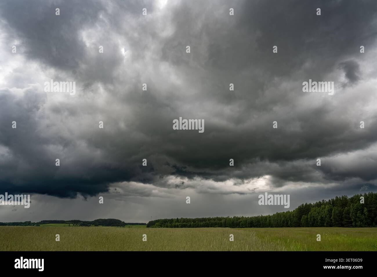 Large dark storm clouds dominate the sky above a rural meadow and forest landscape Stock Photo