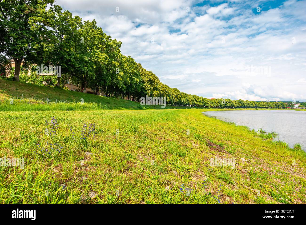 longest linden alley in europe on the Uzh river embankment. lime trees on a sunny summer afternoon. travel destination of transcarpathia. uzhhorod str Stock Photo