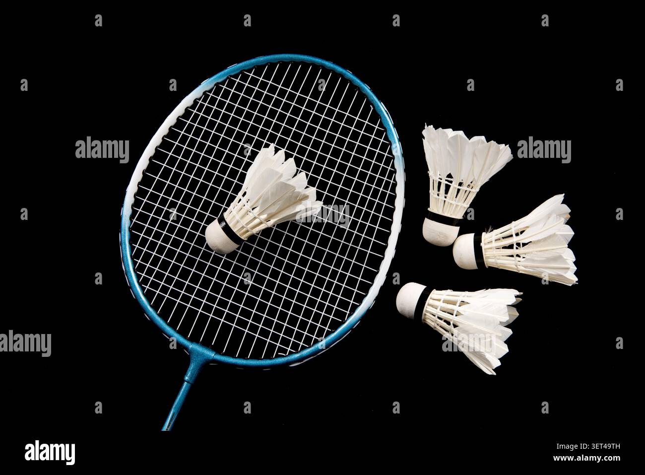 Badminton racket and multiple shuttlecocks arranged on a clean black background Stock Photo