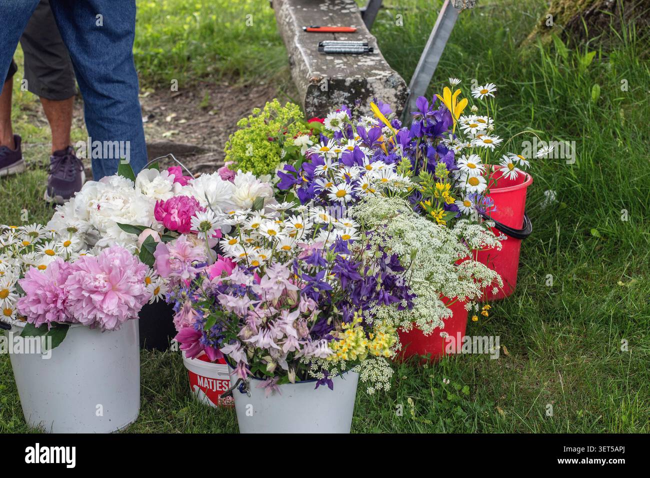 Flowers that will decorate this year's midsummer pole in Malmköping, Sweden 2026 Stock Photo