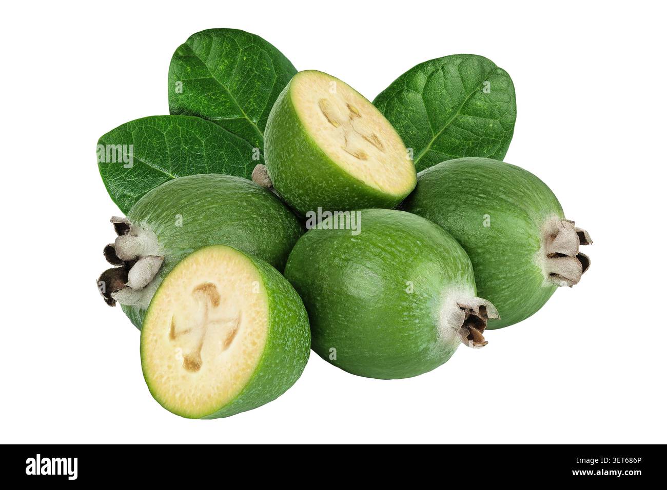 Feijoa fruit isolated on white background Stock Photo
