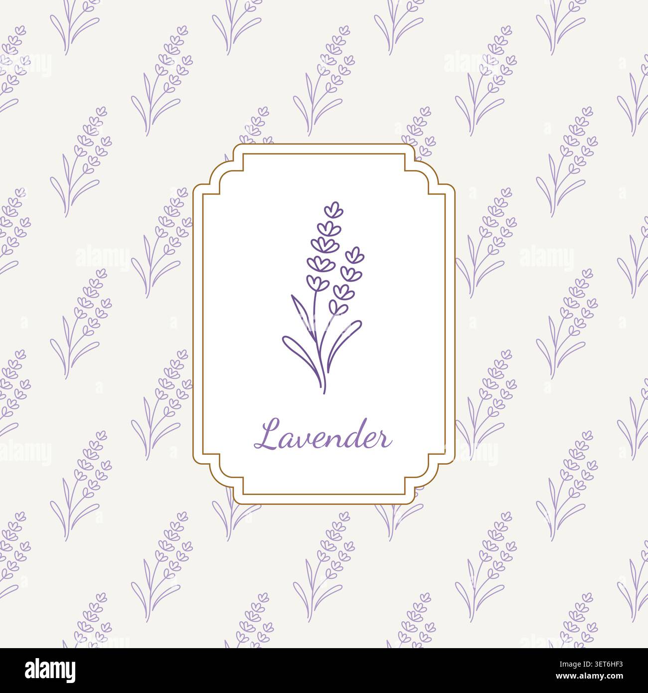 Minimalist Lavender Pattern with Elegant Frame and Botanical Illustration Stock Vector