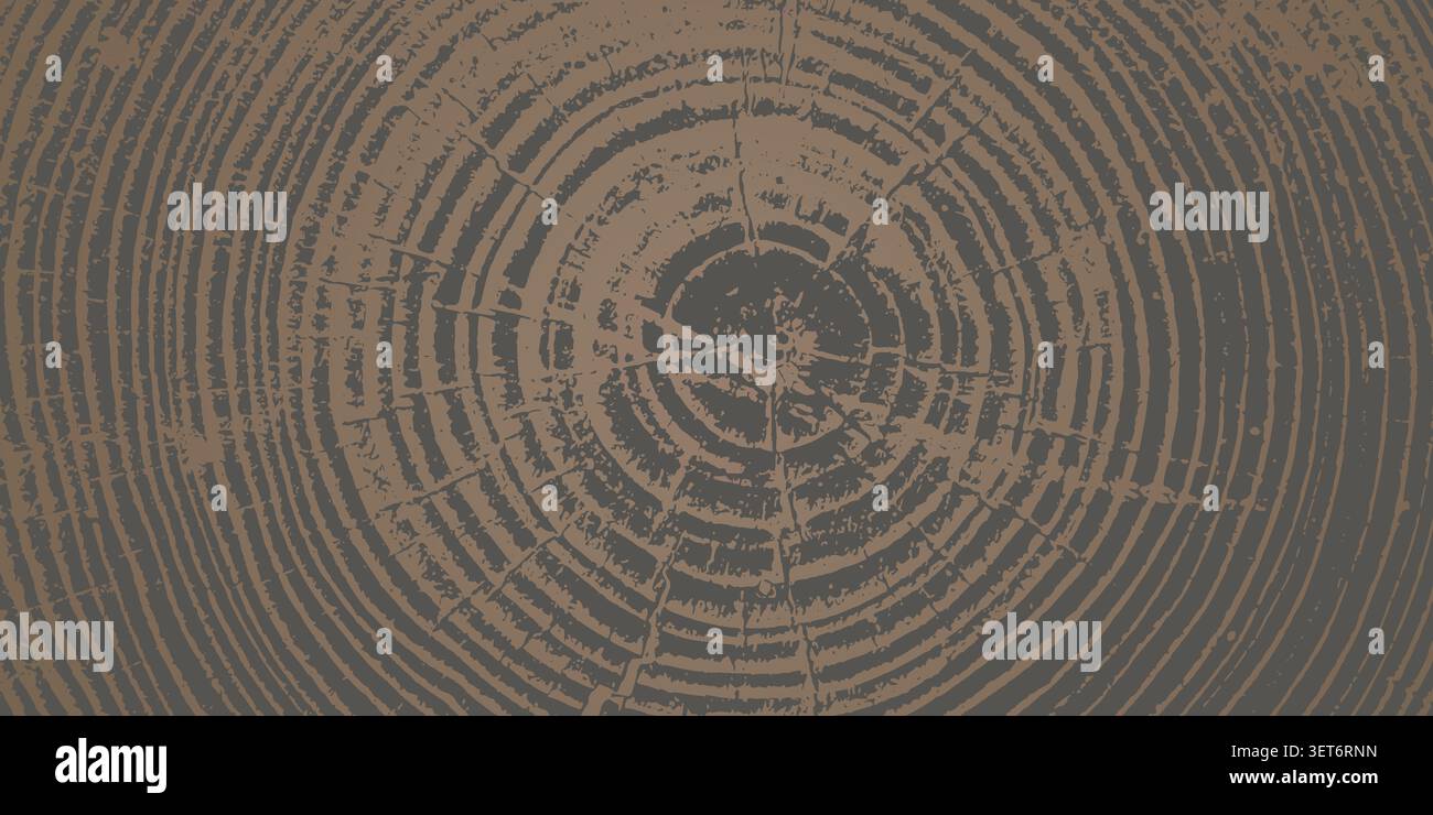 Tree ring pattern showcasing natural wooden texture vector illustration background. Stock Vector