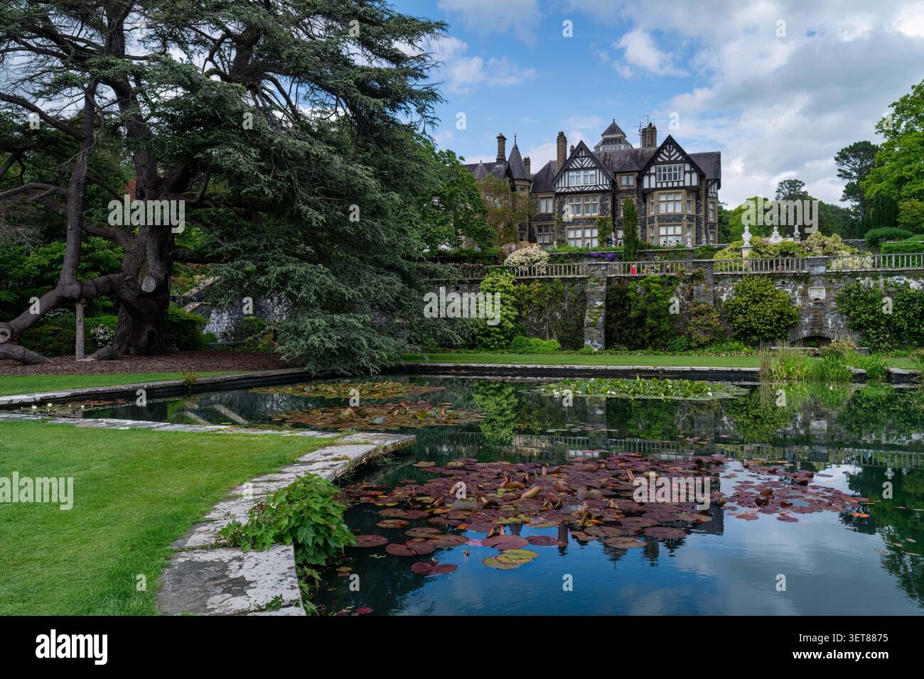 Garden Pool Reflections Stock Photo