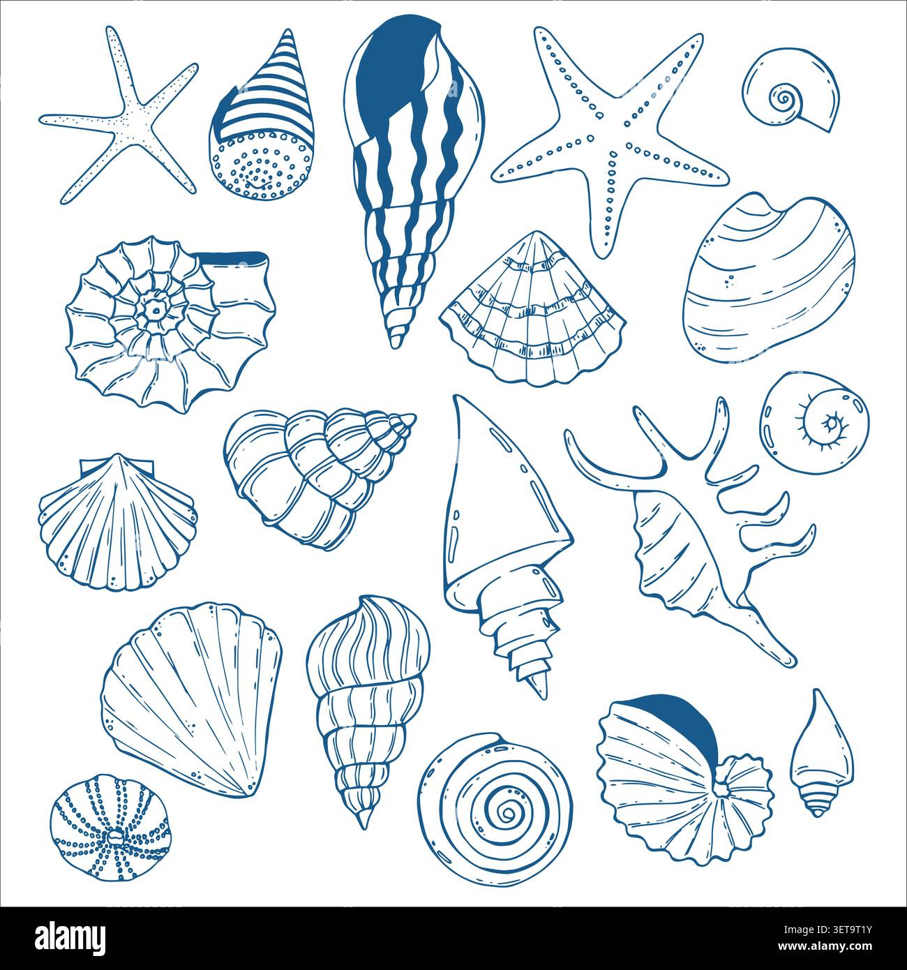 Underwater seashells hand painted line sketch Stock Vector