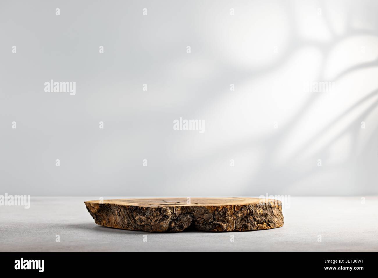Simple rustic wood slice podium on clean white background with soft shadow and empty copy space for product mockup Stock Photo