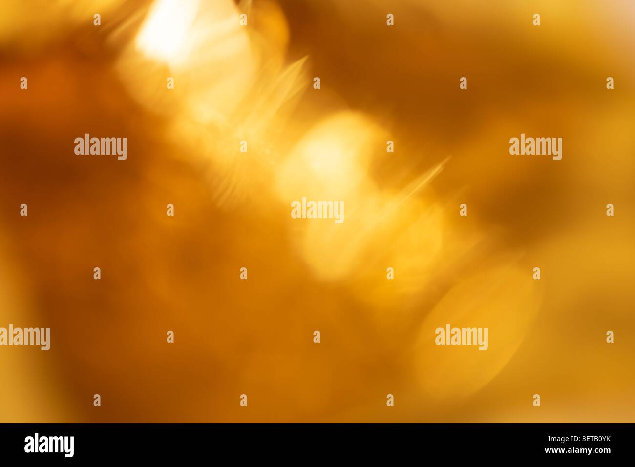 Warm Golden Abstract Background with Soft Focus Light Bokeh Stock Photo