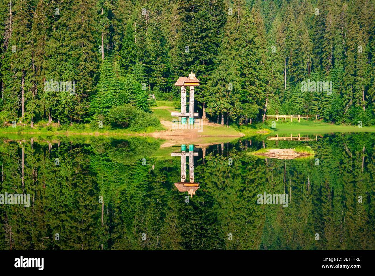 landscape with mountain lake of synevyr national park. green carpathian nature scenery in summer. coniferous forest reflection on the water. popular t Stock Photo