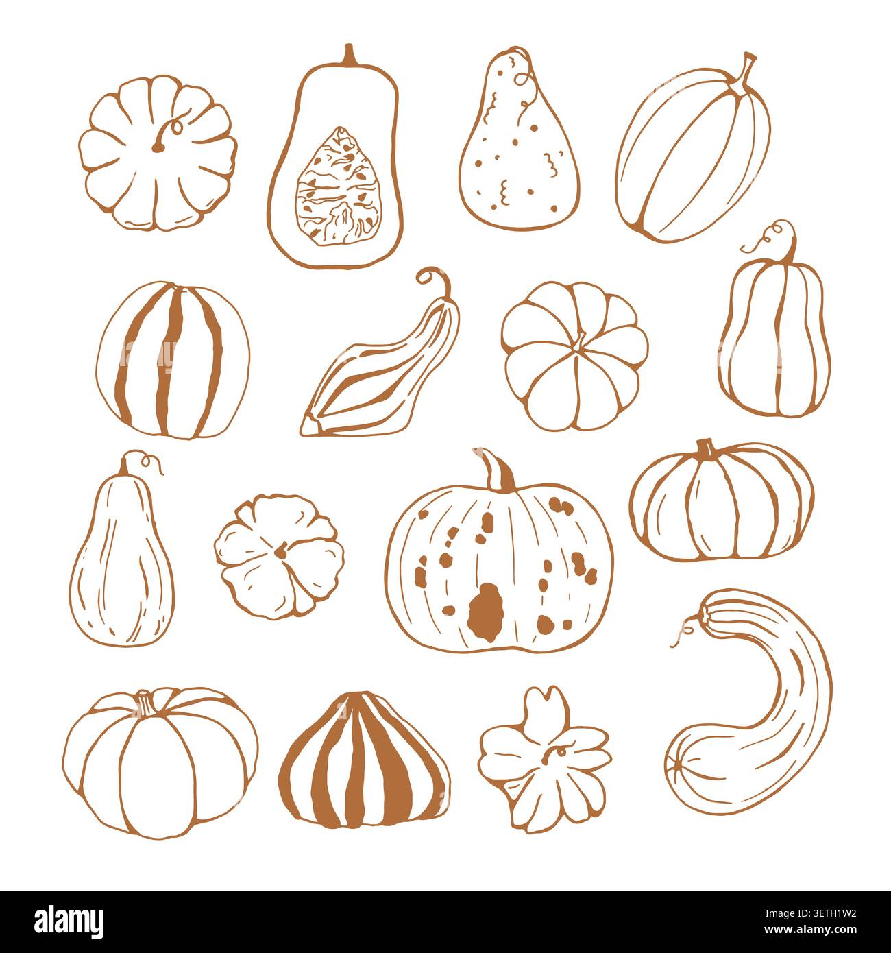 A set of pumpkins, vector hand drawn collection  Stock Vector