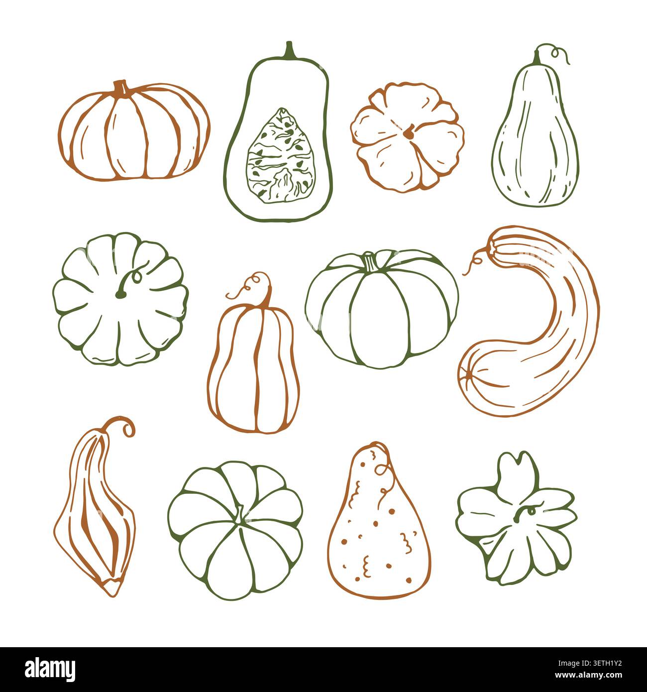 A set of pumpkins, vector hand drawn collection Stock Vector