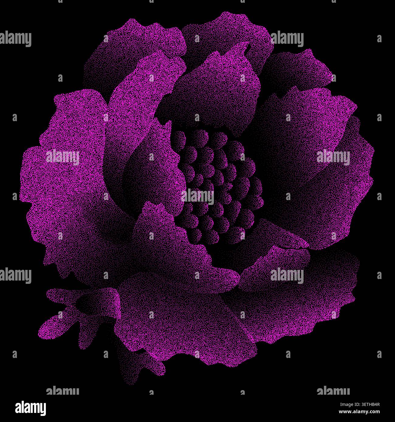 Pink Stippled Flower Bloom Dotwork Illustration Stock Vector