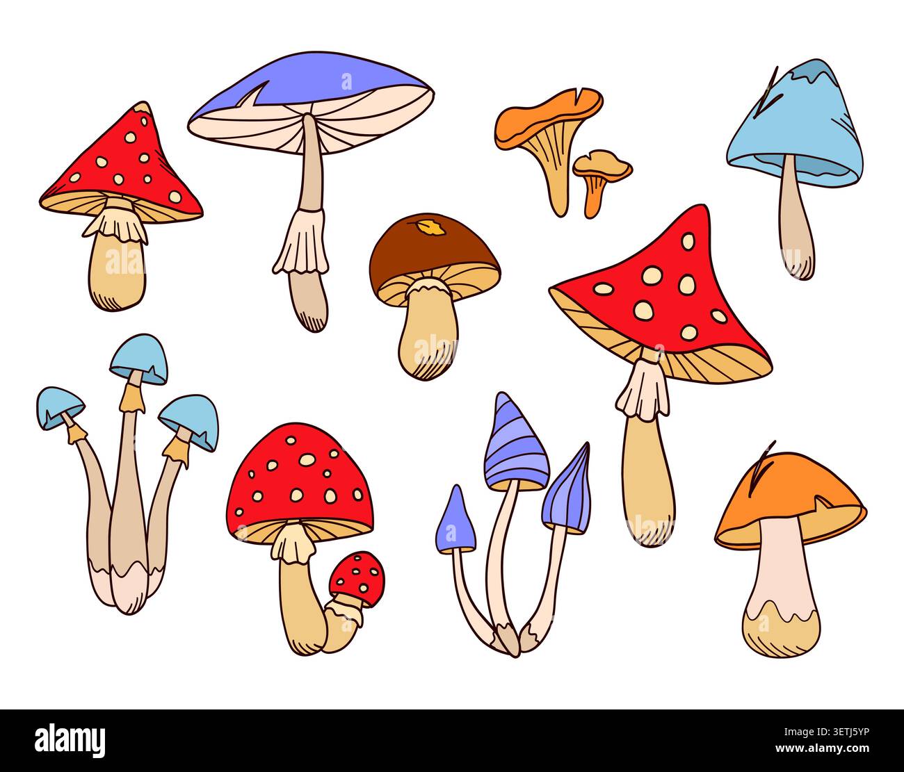 Autumn forest mushrooms vector colorful set. Stock Vector