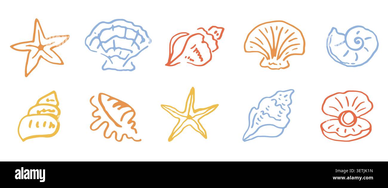 Sea shell elements set starfish, clam, conch icons Stock Vector