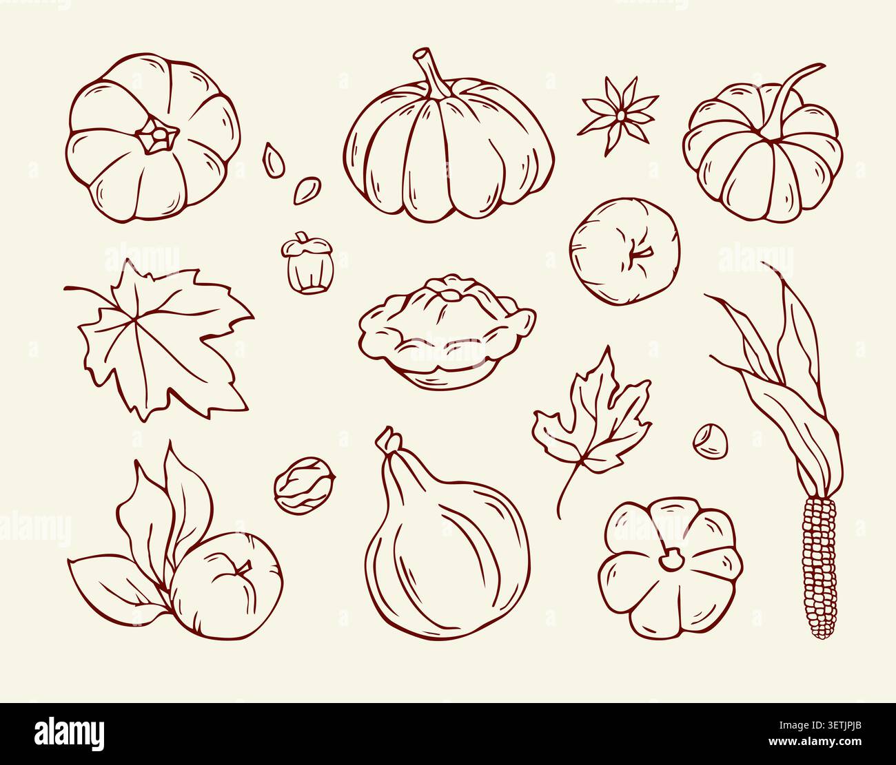 Hand drawn autumn pumpkins and thanksgiving harvest doodle set Stock Vector