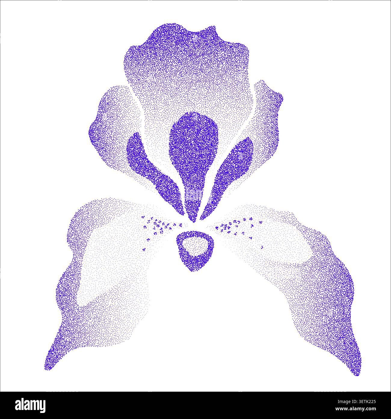 Purple Iris Flower Illustration in Dotwork Style Stock Vector