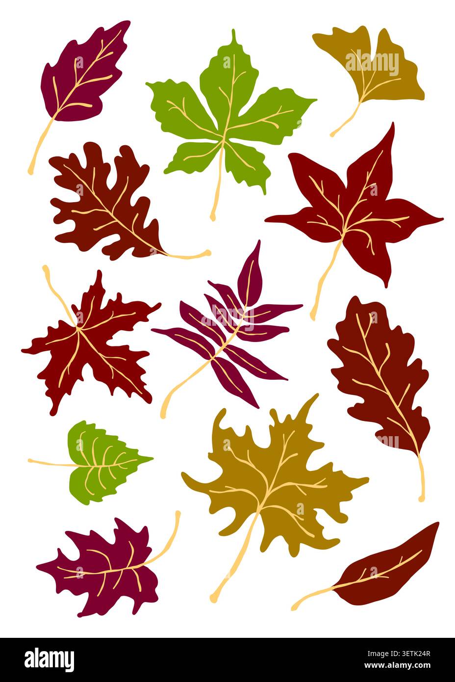 Autumn leaves colorful vector flat set. Stock Vector
