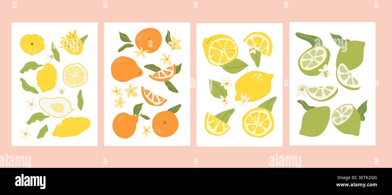 Set of abstract citrus fruit posters, contemporary print. Modern art with hand drawn chinese orange, lemon, citron, lime. Trendy design for wall decor Stock Vector